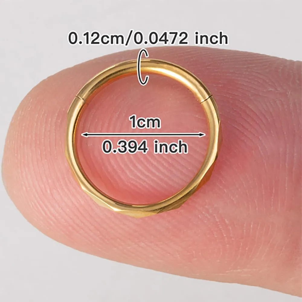 2Pcs 16G Stainless Steel Hoop Lip Rings Nose Rings Septum Rings Conch Helix Cartilage Earrings Universal Hoops Body Piercing Jewelry for Women Men