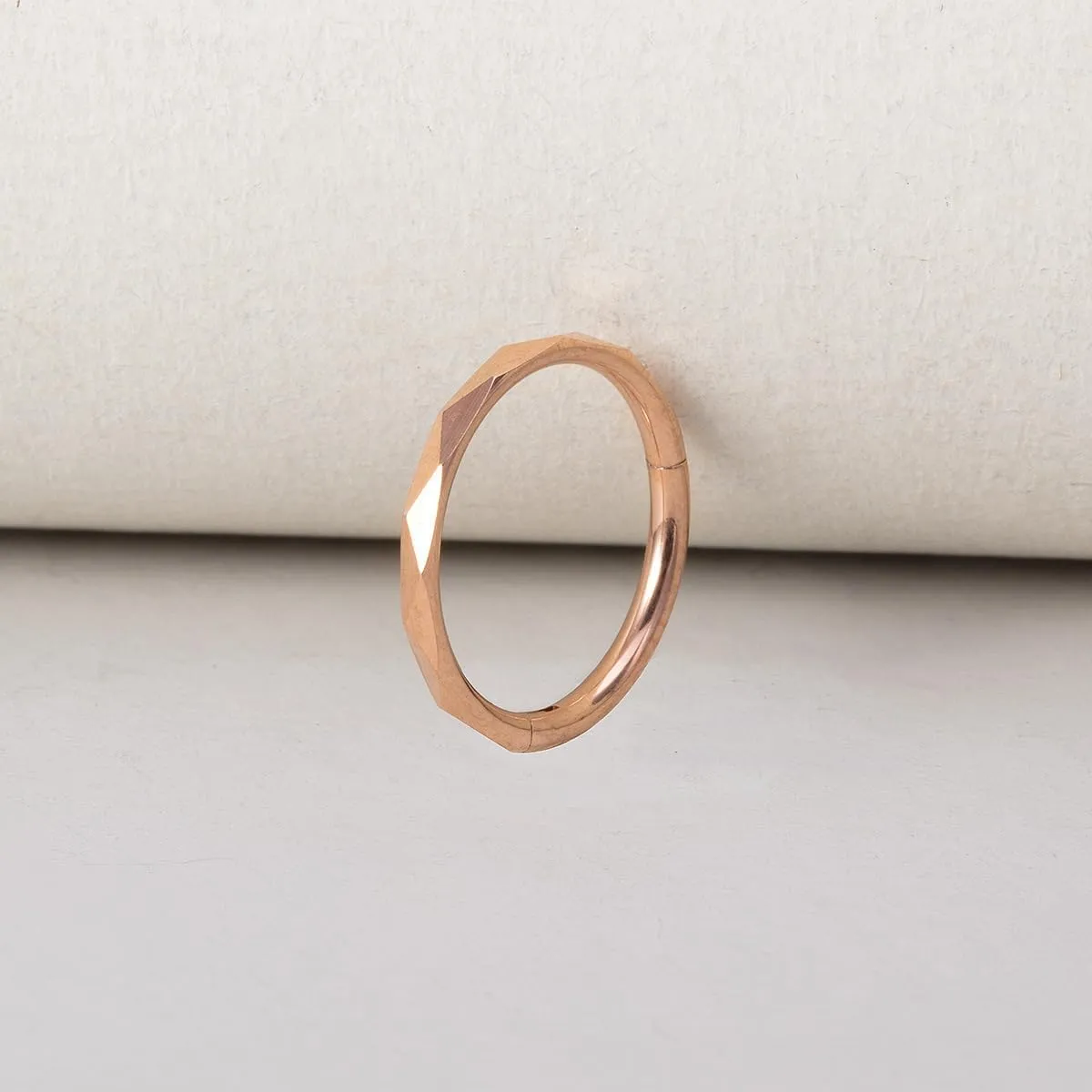 2Pcs 16G Stainless Steel Hoop Lip Rings Nose Rings Septum Rings Conch Helix Cartilage Earrings Universal Hoops Body Piercing Jewelry for Women Men