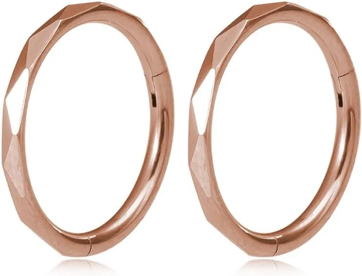 2Pcs 16G Stainless Steel Hoop Lip Rings Nose Rings Septum Rings Conch Helix Cartilage Earrings Universal Hoops Body Piercing Jewelry for Women Men
