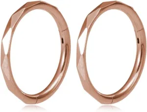 2Pcs 16G Stainless Steel Hoop Lip Rings Nose Rings Septum Rings Conch Helix Cartilage Earrings Universal Hoops Body Piercing Jewelry for Women Men
