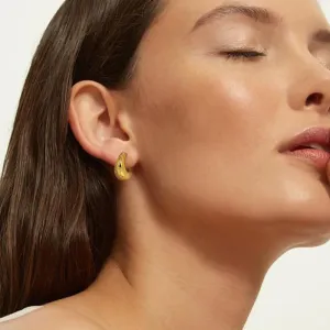 Free bird Chunky Gold Hoop Earrings 14K Gold Plated Small Chunky Hoop Trendy Sun Earrings Hypoallergenic Lightweight Earrings Chunky Gold Jewelry for Daily Wear
