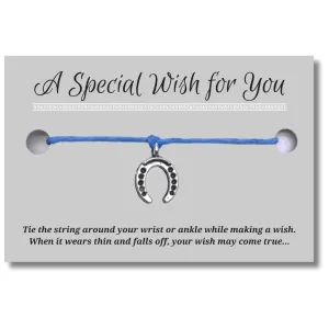 Horseshoe Charm Blue Wish Bracelet, Hemp with Tibetan Silver Charm on Printed Card, 12 inches long, Adjustable Unisex Design, Friendship Anklet, Good Luck Gift for Women