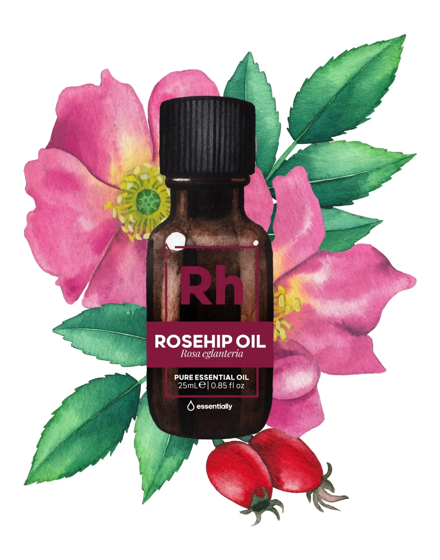 Rosehip Oil - Cold Pressed Organic